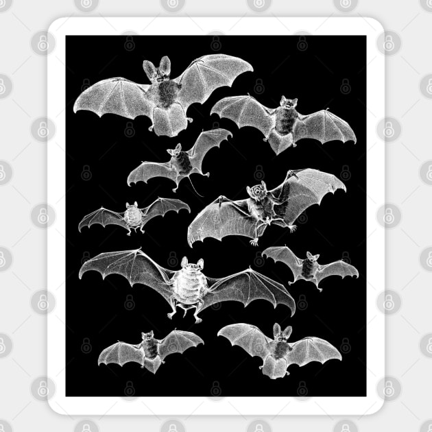 Flying Bats Sticker by Pop Fan Shop